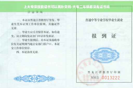 上大专没技能证书可以再补交吗-大专二年级都没有证书吗