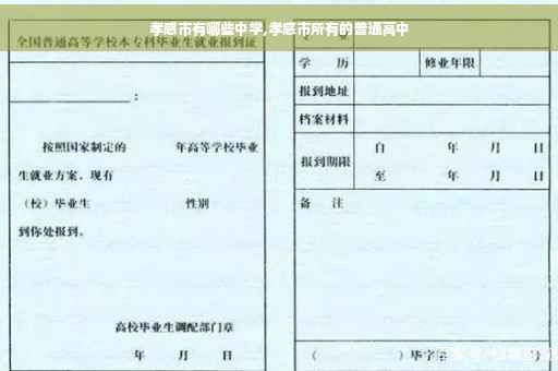 孝感市有哪些中学,孝感市所有的普通高中