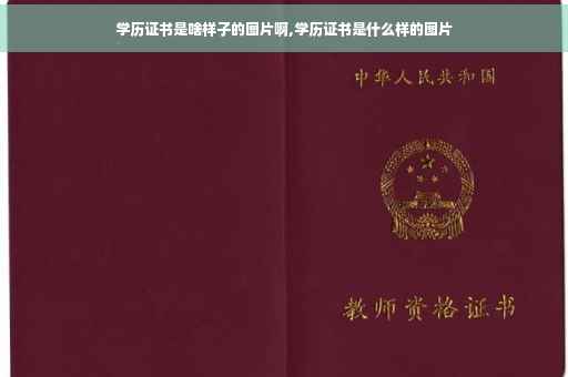 学历证书是啥样子的图片啊,学历证书是什么样的图片