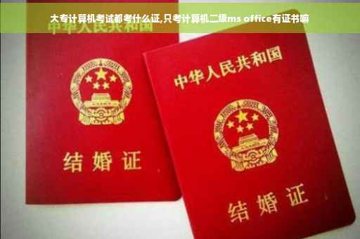 大专计算机考试都考什么证,只考计算机二级ms office有证书嘛