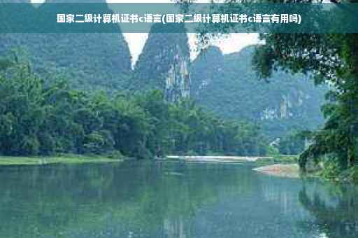 国家二级计算机证书c语言(国家二级计算机证书c语言有用吗)