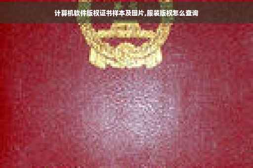 计算机软件版权证书样本及图片,服装版权怎么查询