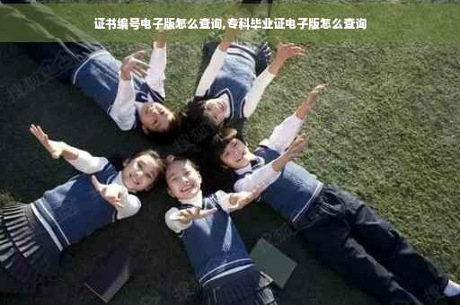 证书编号电子版怎么查询,专科毕业证电子版怎么查询