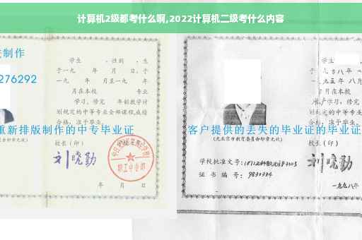 计算机2级都考什么啊,2022计算机二级考什么内容