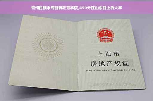 青州民族中专能转教育学院,450分在山东能上的大学