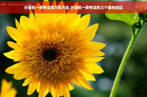 计算机一级考试技巧和方法,计算机一级考试的三个基本特征