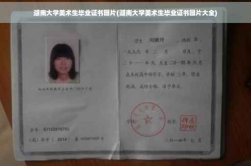 湖南大学美术生毕业证书图片(湖南大学美术生毕业证书图片大全)