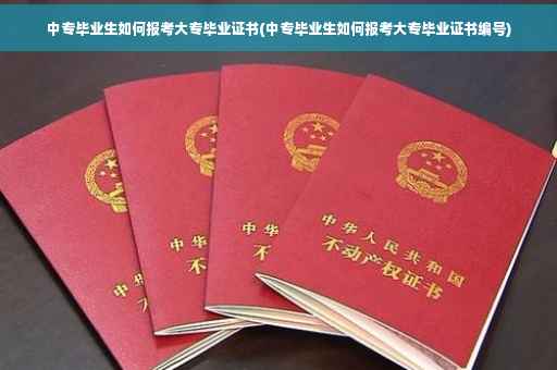 中专毕业生如何报考大专毕业证书(中专毕业生如何报考大专毕业证书编号)
