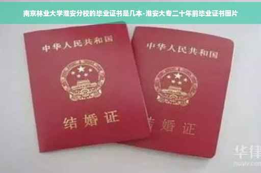 南京林业大学淮安分校的毕业证书是几本-淮安大专二十年前毕业证书图片