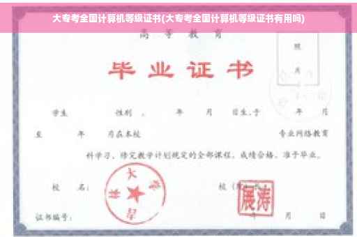 大专考全国计算机等级证书(大专考全国计算机等级证书有用吗)