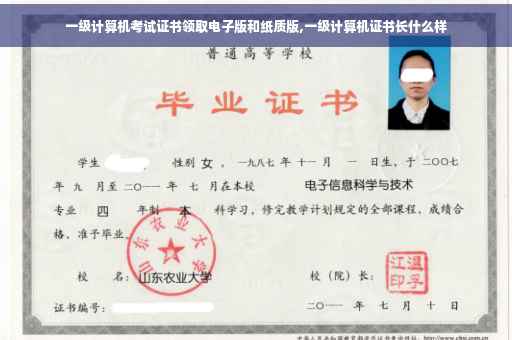 一级计算机考试证书领取电子版和纸质版,一级计算机证书长什么样