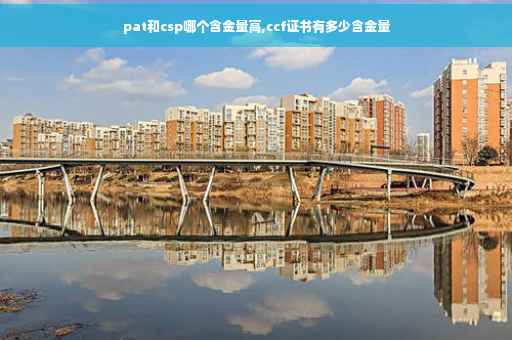 pat和csp哪个含金量高,ccf证书有多少含金量
