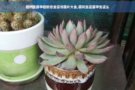 郑州旅游学校的毕业证书图片大全,研究生证算学生证么