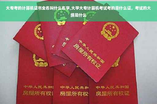 大专考的计算机证书全名叫什么名字,大学大专计算机考试考的是什么证，考试的大纲是什么