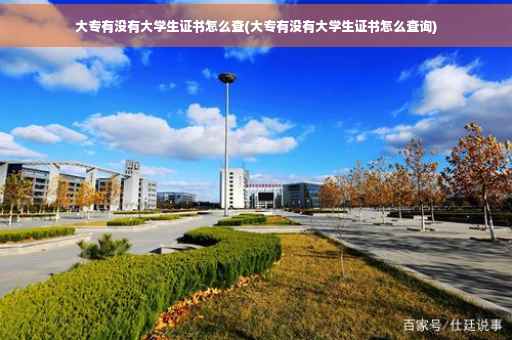 大专有没有大学生证书怎么查(大专有没有大学生证书怎么查询)