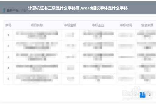 计算机证书二级是什么字体啊,word细长字体是什么字体