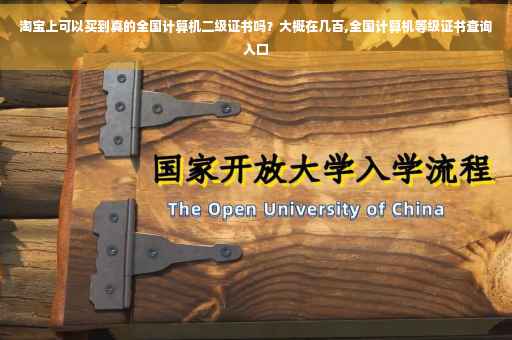 淘宝上可以买到真的全国计算机二级证书吗？大概在几百,全国计算机等级证书查询入口