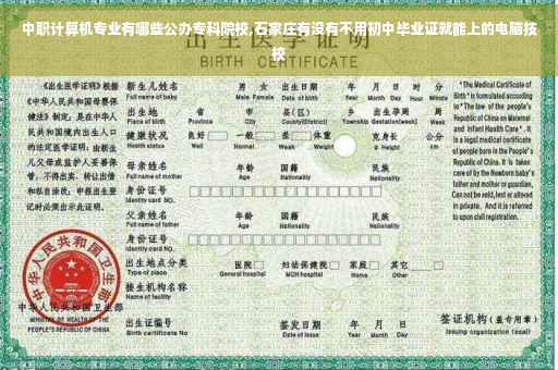 中职计算机专业有哪些公办专科院校,石家庄有没有不用初中毕业证就能上的电脑技校