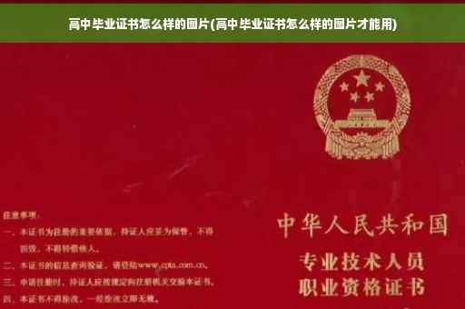 高中毕业证书怎么样的图片(高中毕业证书怎么样的图片才能用)