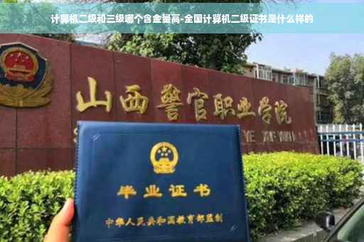 计算机二级和三级哪个含金量高-全国计算机二级证书是什么样的