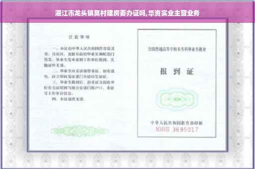 湛江市龙头镇莫村建房要办证吗,华资实业主营业务