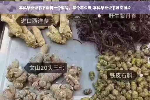 本科毕业证书下面有一个编号，拿个怎么查,本科毕业证书含义图片