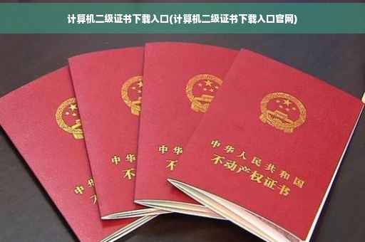 计算机二级证书下载入口(计算机二级证书下载入口官网)
