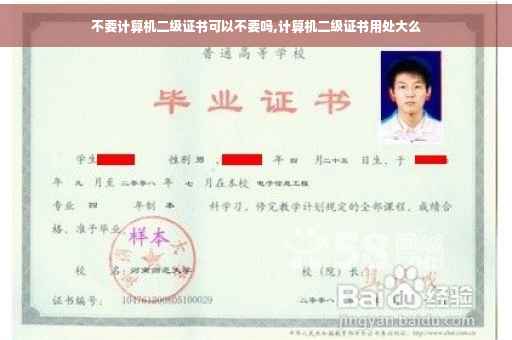 不要计算机二级证书可以不要吗,计算机二级证书用处大么