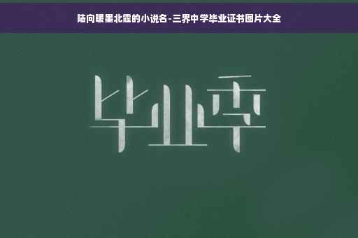 陆向暖墨北霆的小说名-三界中学毕业证书图片大全