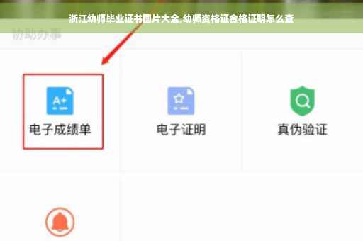 浙江幼师毕业证书图片大全,幼师资格证合格证明怎么查
