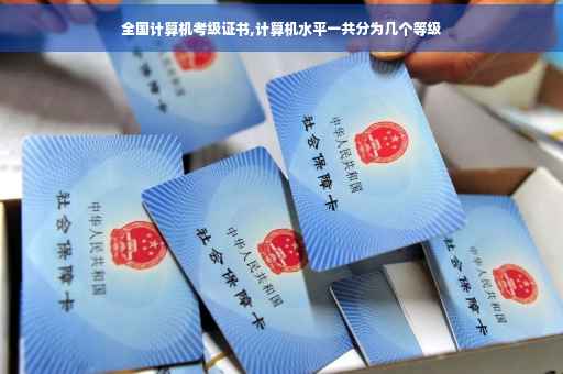 全国计算机考级证书,计算机水平一共分为几个等级
