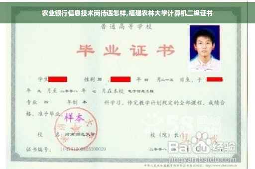 农业银行信息技术岗待遇怎样,福建农林大学计算机二级证书