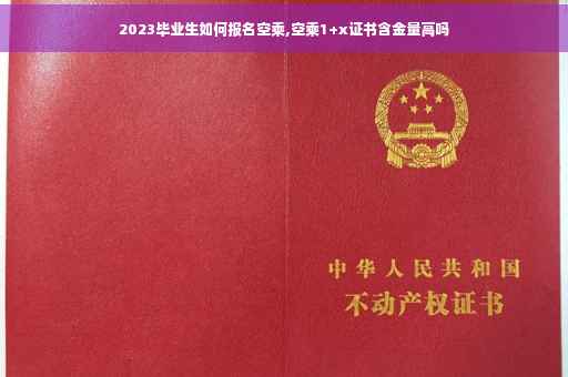 2023毕业生如何报名空乘,空乘1+x证书含金量高吗