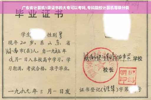 广东省计算机1级证书的大专可以考吗,专科院校计算机等级分类