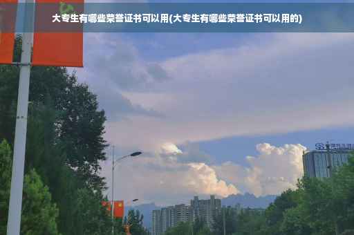 大专生有哪些荣誉证书可以用(大专生有哪些荣誉证书可以用的)