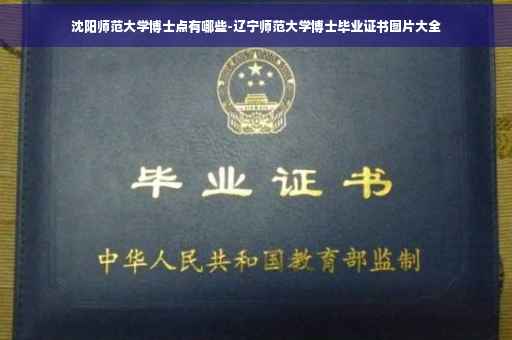 沈阳师范大学博士点有哪些-辽宁师范大学博士毕业证书图片大全