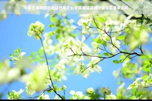 中国艺术学院毕业证书图片9,中国美院函授毕业证国家承认吗