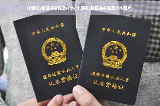 计算机2级证书名称及样本(计算机2级证书名称及样本图片)