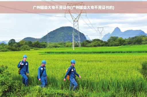 广州哪些大专不用证书(广州哪些大专不用证书的) 广州哪些大专不用证书(广州哪些大专不用证书的)