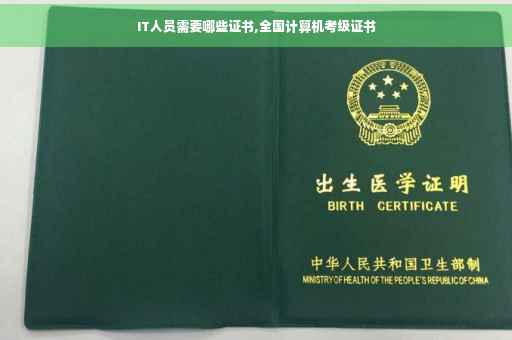 IT人员需要哪些证书,全国计算机考级证书