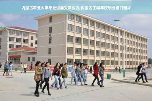 内蒙古农业大学毕业证丢失怎么办,内蒙古工程学校毕业证书图片