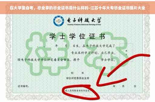 在大学里自考，毕业拿的毕业证书是什么样的-江苏十年大专毕业证书图片大全