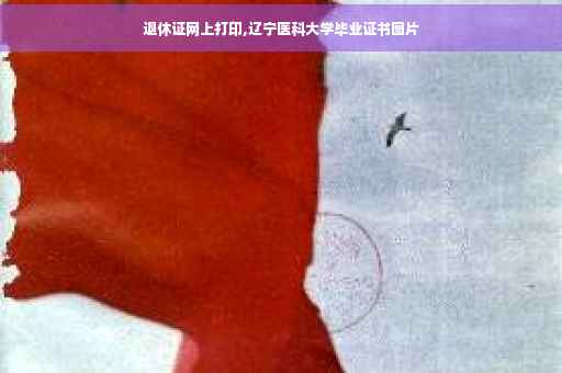 退休证网上打印,辽宁医科大学毕业证书图片