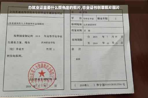 办就业证需要什么颜色底的照片,毕业证书创意照片图片
