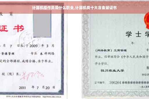 计算机操作员是什么职业,计算机类十大含金量证书