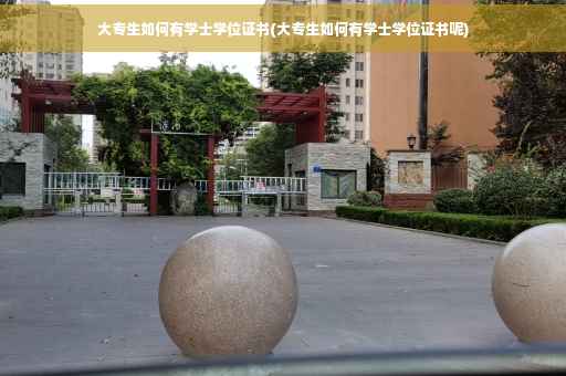 大专生如何有学士学位证书(大专生如何有学士学位证书呢)