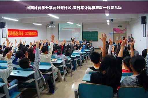 河南计算机升本高数考什么,专升本计算机难度一般是几级