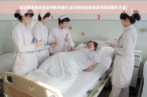 全日制本科毕业证书样本图片(全日制本科毕业证书样本图片大全)