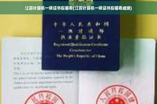 江苏计算机一级证书在哪看(江苏计算机一级证书在哪看成绩)