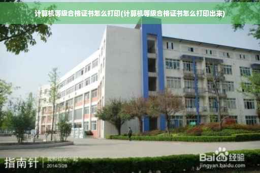 计算机等级合格证书怎么打印(计算机等级合格证书怎么打印出来)